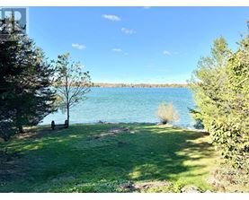 A beautiful park with a lake and trees.