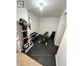 A gym room with a bench, weights, and a barbell.