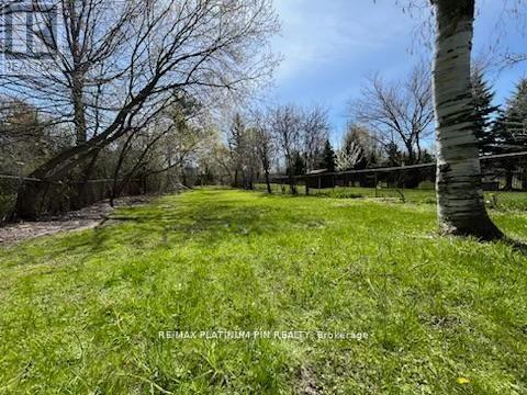 A grassy field with trees and a fence in the background.
