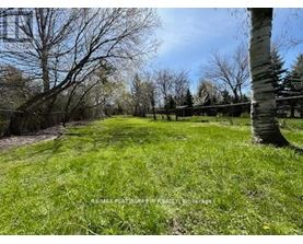 A grassy field with trees and a fence in the background.
