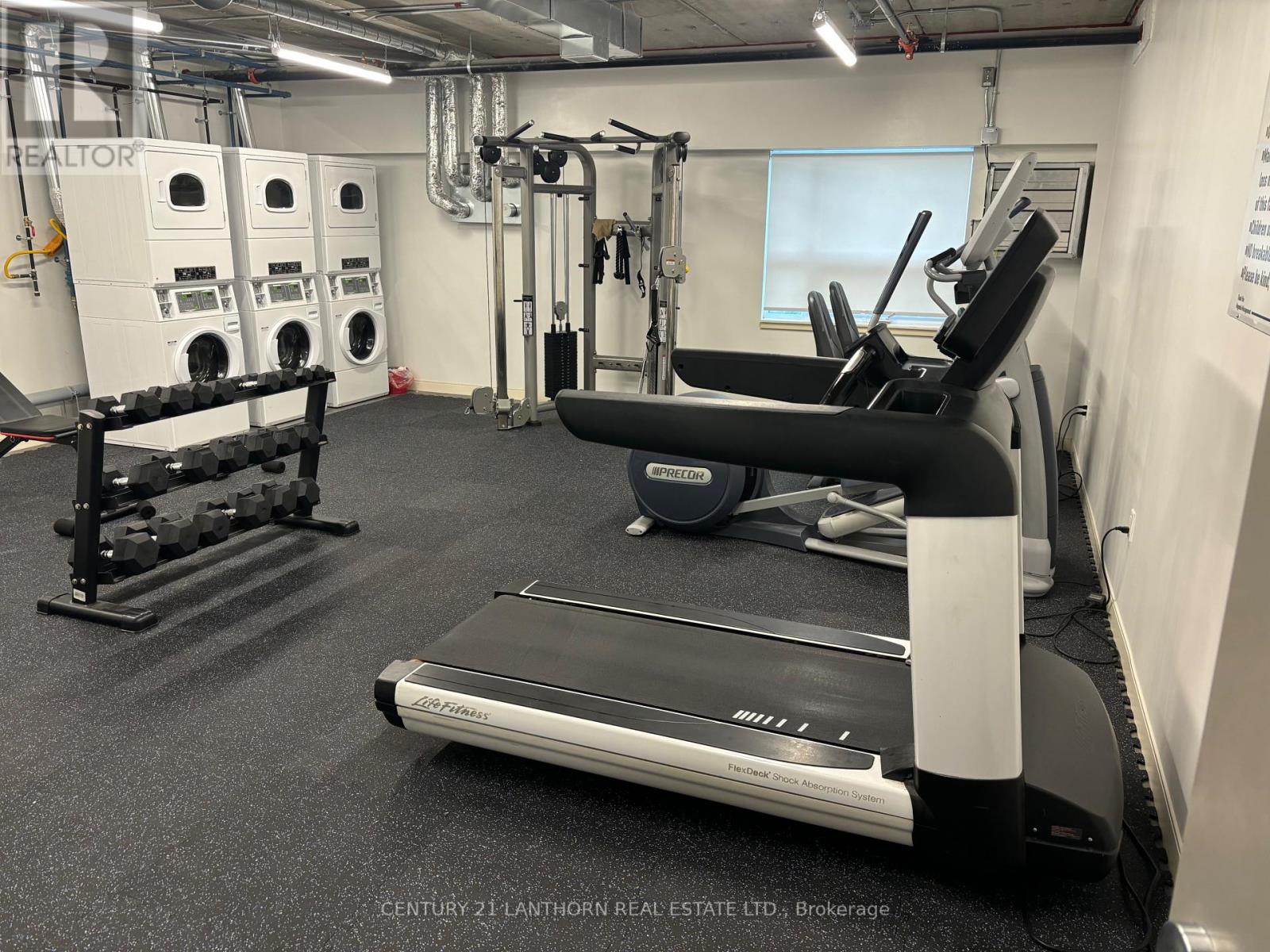 A gym with a treadmill, a bench, and a rowing machine.