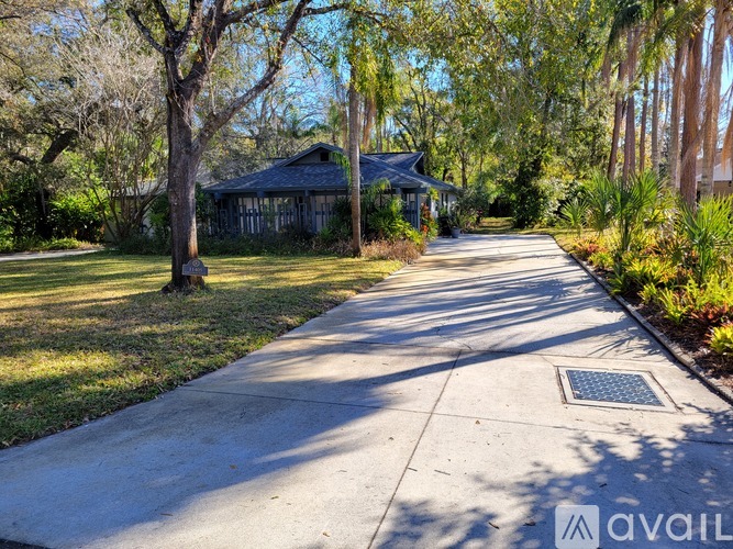 A tree-lined street with a house in the background.