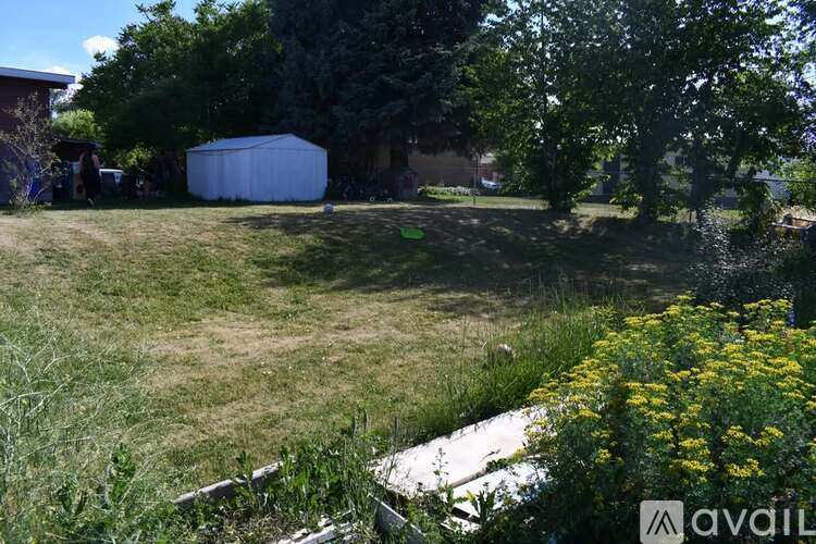 A backyard with a shed, trees, and a grassy area.