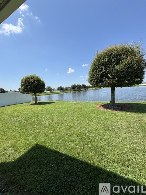 A grassy area with two trees and a body of water in the distance.