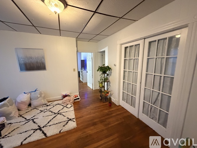 A room with a rug, a plant, and a painting on the wall.
