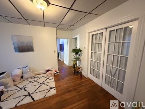 A room with a rug, a plant, and a painting on the wall.