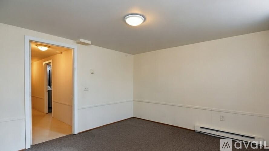 A room with a carpeted floor and a ceiling light.