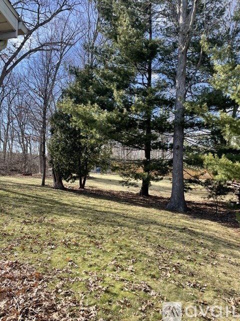 A grassy area with trees and a house in the background.