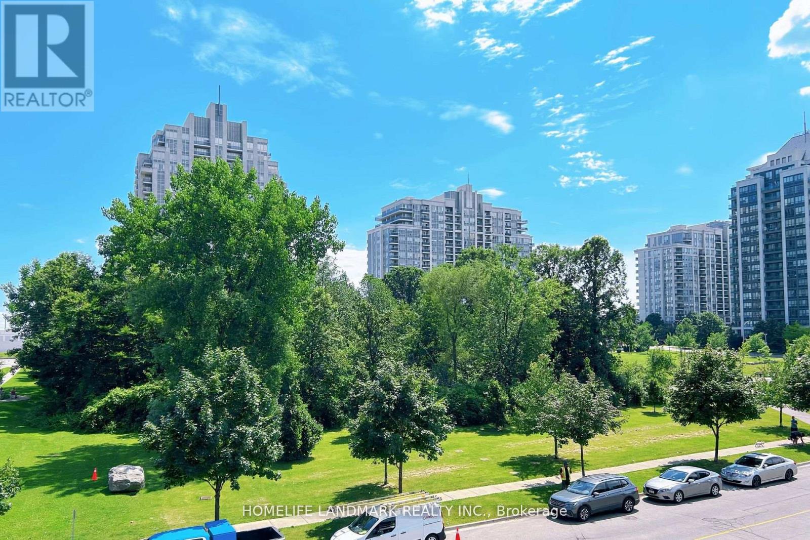 A sunny day in a park with trees and cars.