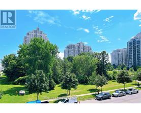 A sunny day in a park with trees and cars.