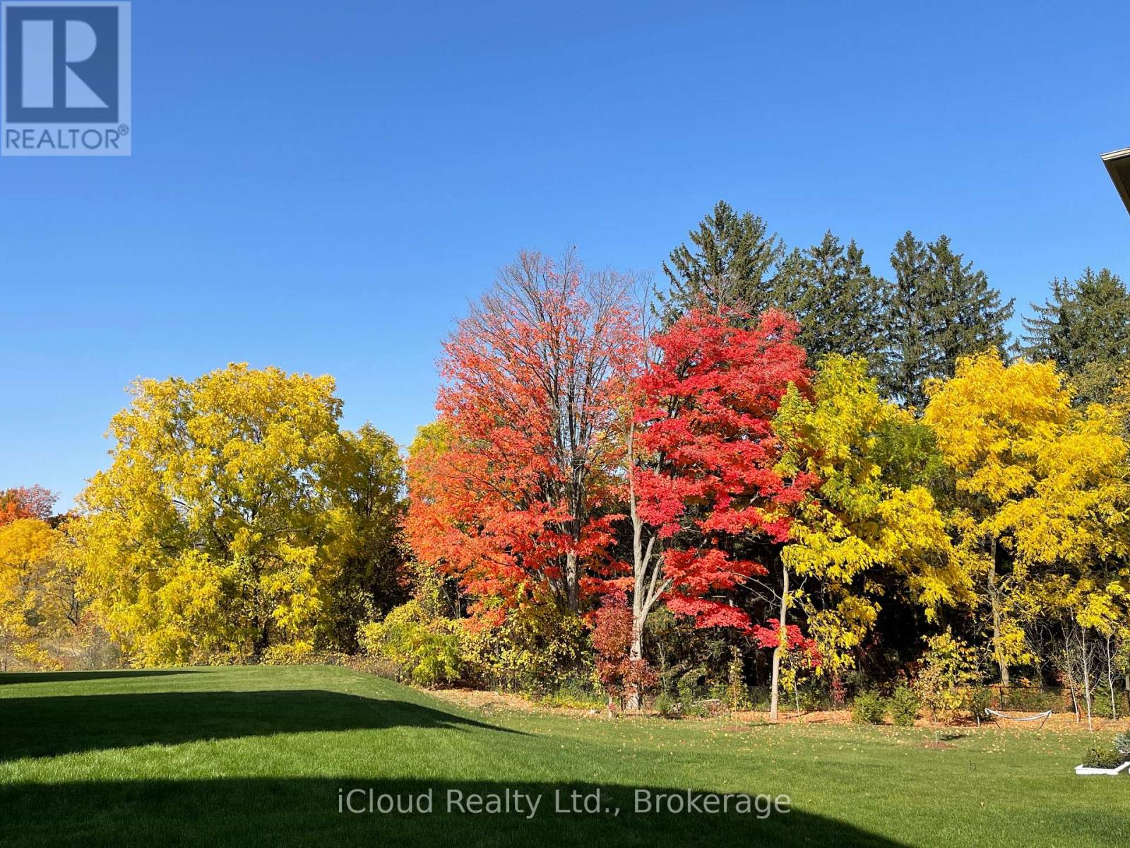 A field with trees in autumn colors.