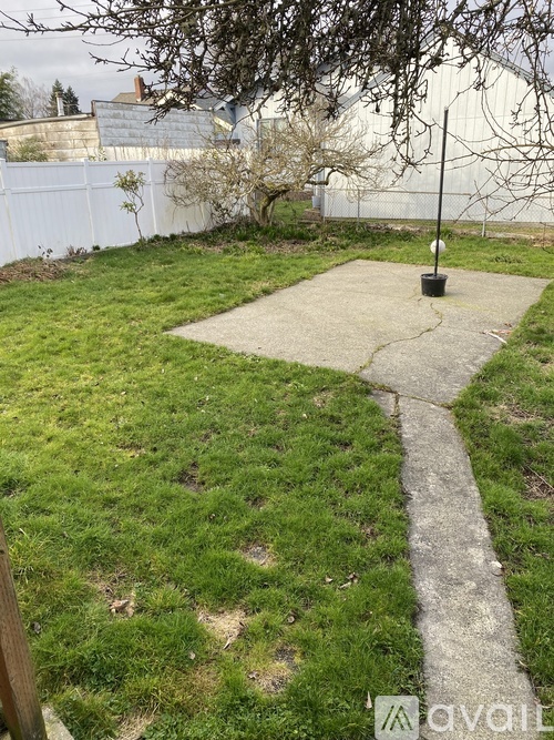 A backyard with a concrete walkway and a small tree.