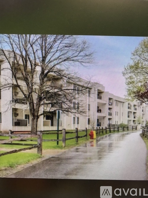 A wet street in front of apartment buildings.