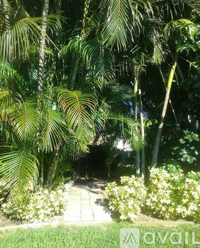A pathway is surrounded by greenery and trees.
