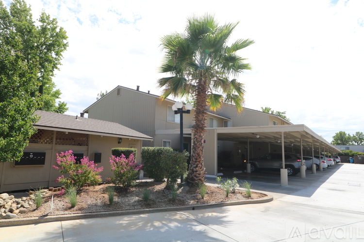 A palm tree stands in front of a building with a parking lot in front of it.