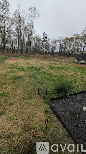 A field with a fence and trees in the background.