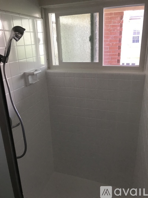 A bathroom with a shower and a window.