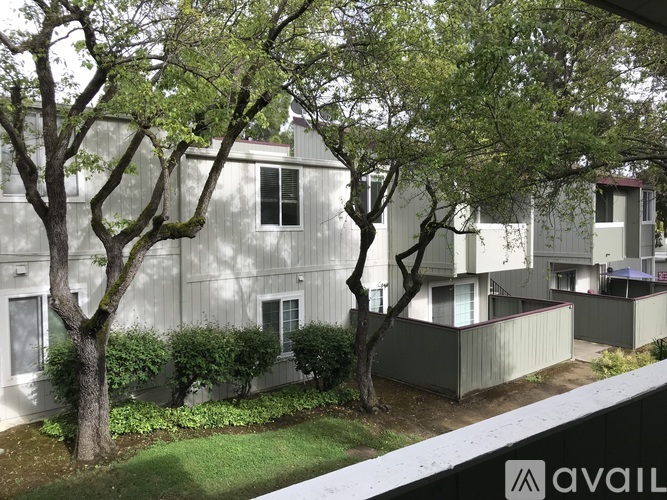 A tree with green leaves is in front of a grey building.