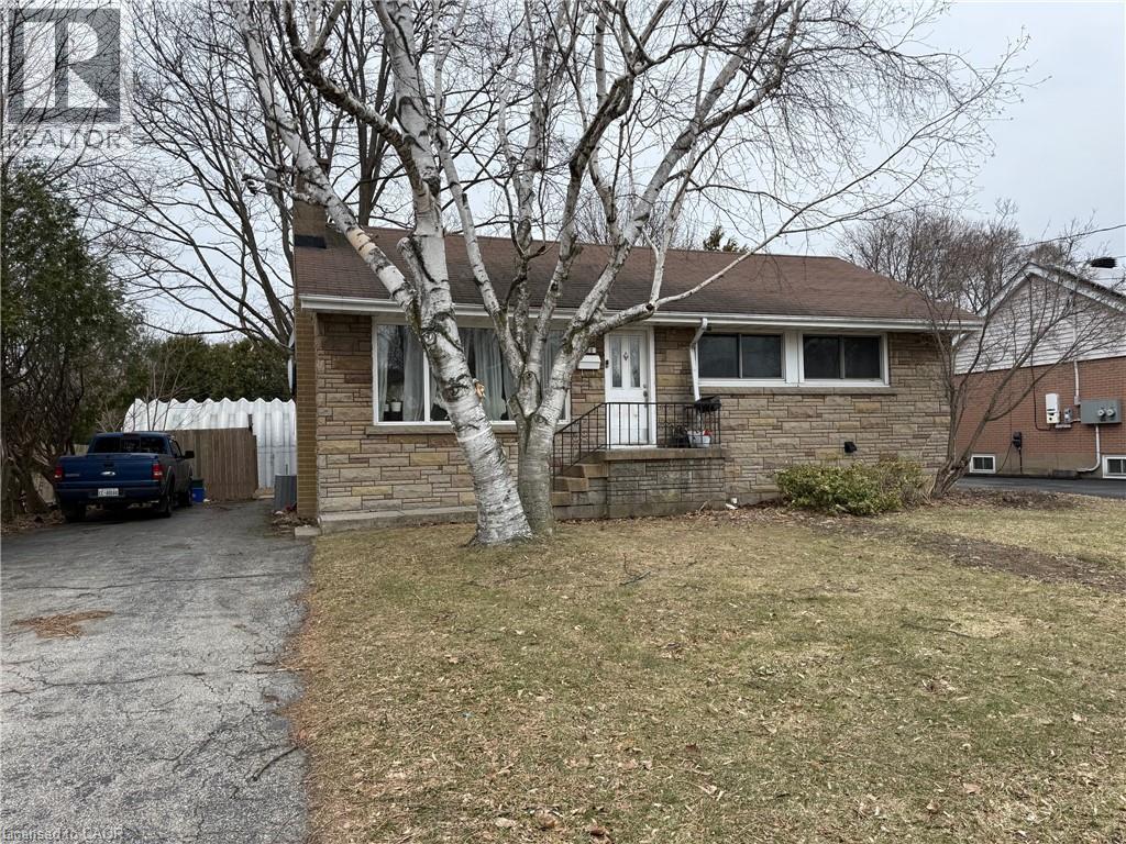A house with a white tree in front of it.