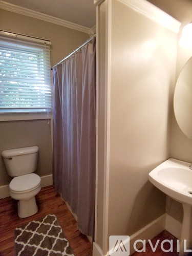 A bathroom with a toilet, sink, and shower curtain.