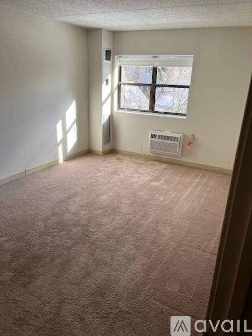 A room with a window and a carpeted floor.