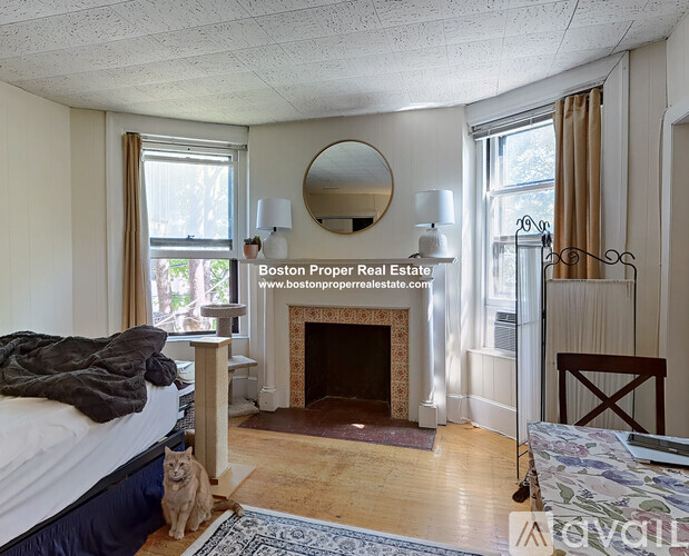 A bedroom with a fireplace and a cat sitting on the floor.