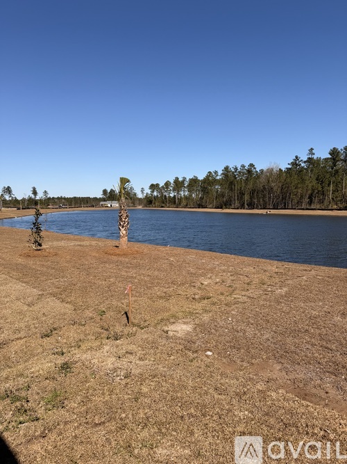 A tree stands alone on a grassy bank by a body of water.