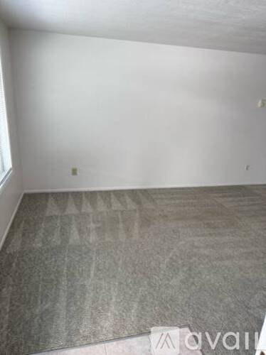 A room with a carpeted floor and a window.