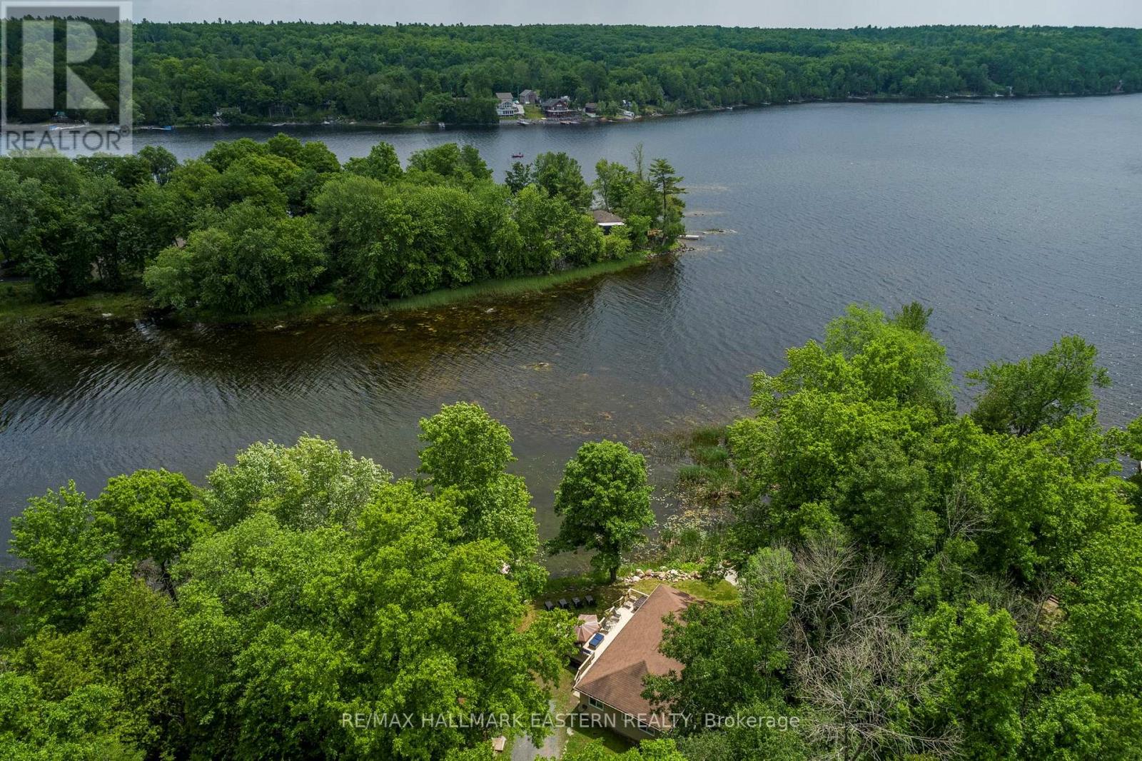 A bird's eye view of a lake surrounded by trees.