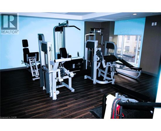 A gym with a variety of equipment including a leg press machine, a chest press machine, and a rowing machine.