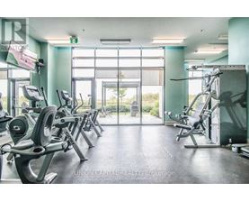 A gym with treadmills, weights and exercise machines.