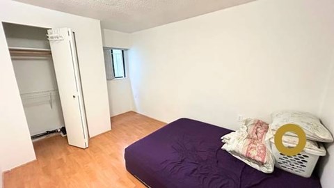 Lower-1792 East 15Th Avenue 2 Beds Apartment for Rent