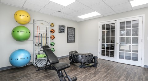 A gym room with a bench, weights, and exercise balls.