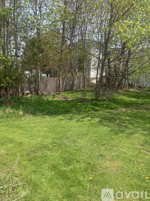 A grassy area with trees and a wooden fence.