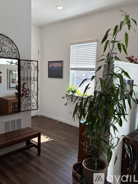 A living room with a large mirror and a potted plant.