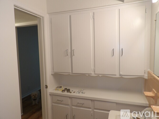 A kitchen with white cabinets and a dog in the background.