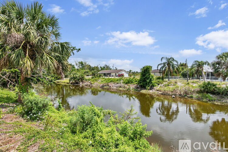 A body of water surrounded by greenery and trees.