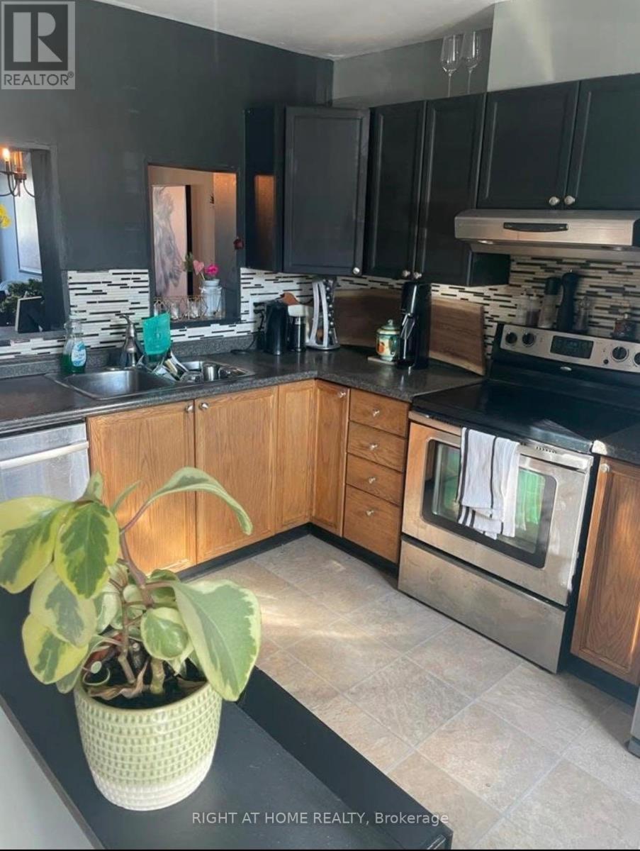 A kitchen with a stove top oven and a plant on the counter.