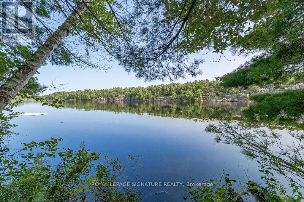 A serene lake surrounded by lush greenery and trees.