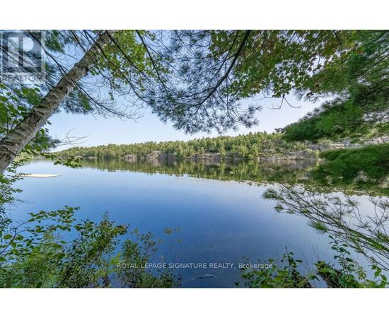 A serene lake surrounded by lush greenery and trees.