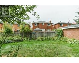 A backyard with a wooden fence and green grass.