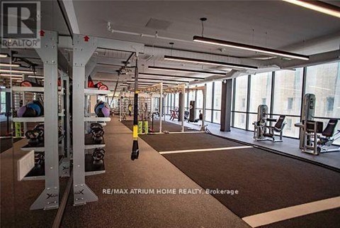 A gym with a variety of equipment including treadmills, weights and exercise machines.