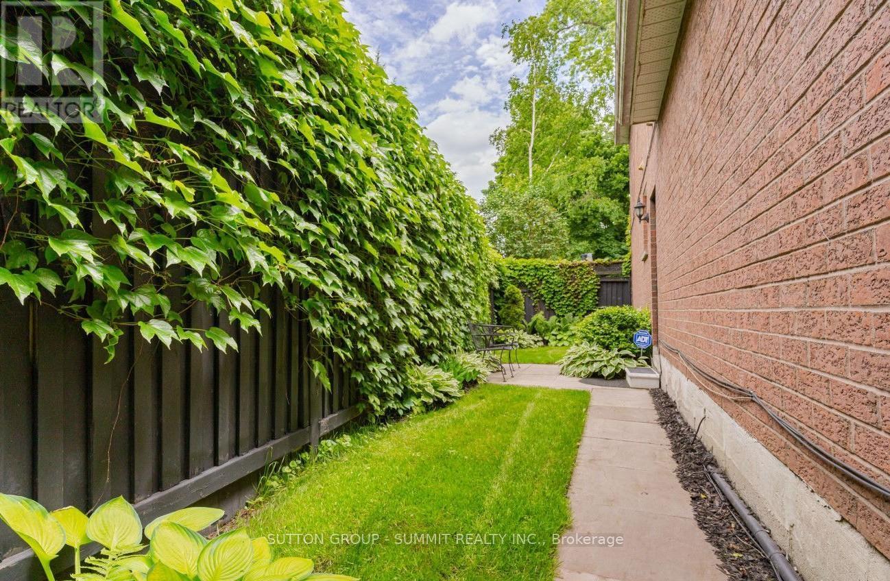 A green leafy plant is growing on the side of a building.