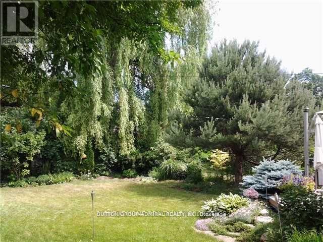 A lush green garden with a variety of plants and trees.