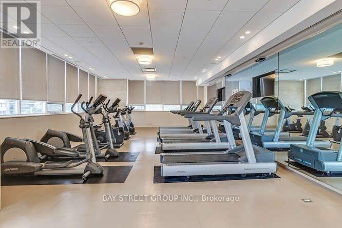 A gym with treadmills and elliptical machines.