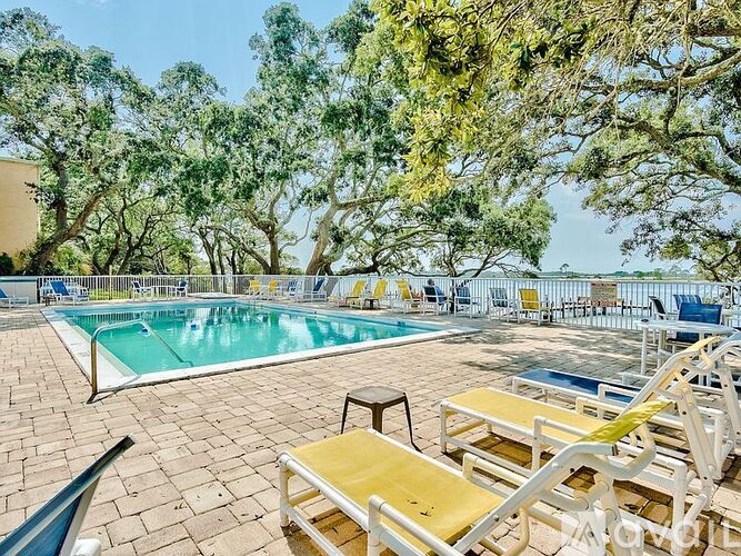 A pool surrounded by trees and sun loungers.