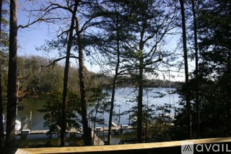 A view of a lake through the trees.