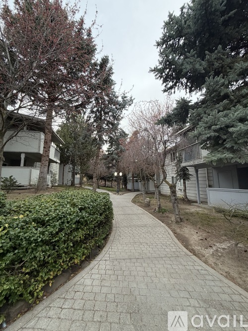 A residential area with a paved walkway and trees.
