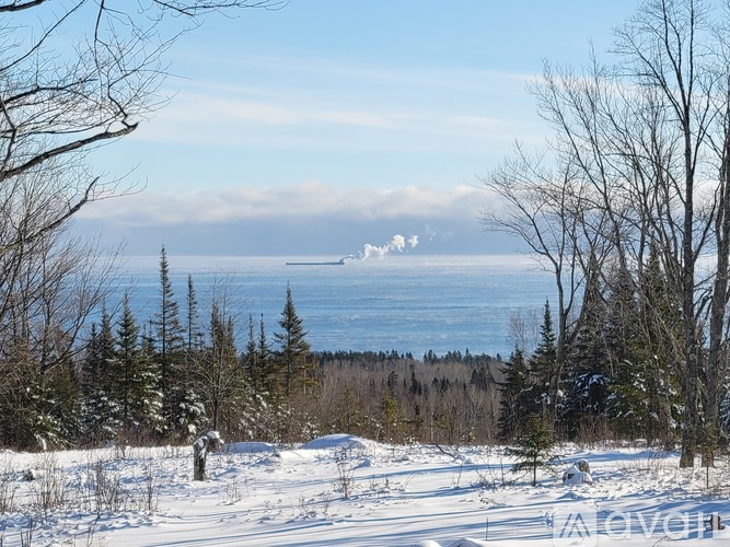 A snowy landscape with trees and a body of water in the distance.