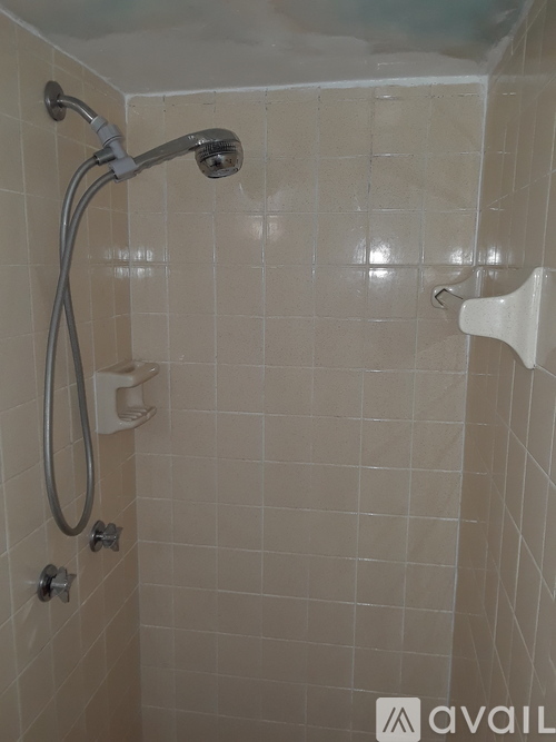 A shower with a hose and a shower head.